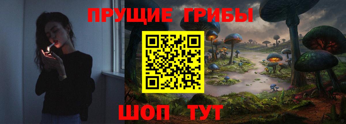 Чистополь  Псилоцибиновые грибы мухоморы  Вход с VPN 
